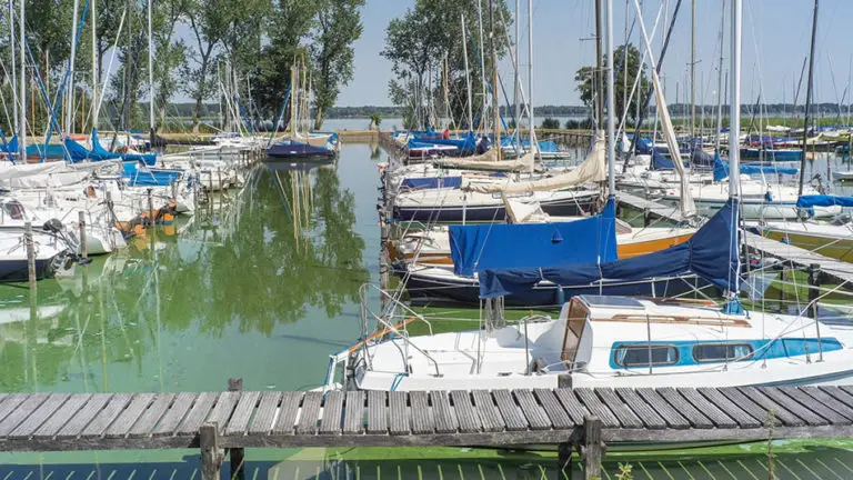 How To Get Rid of And Prevent Algae on a Boat